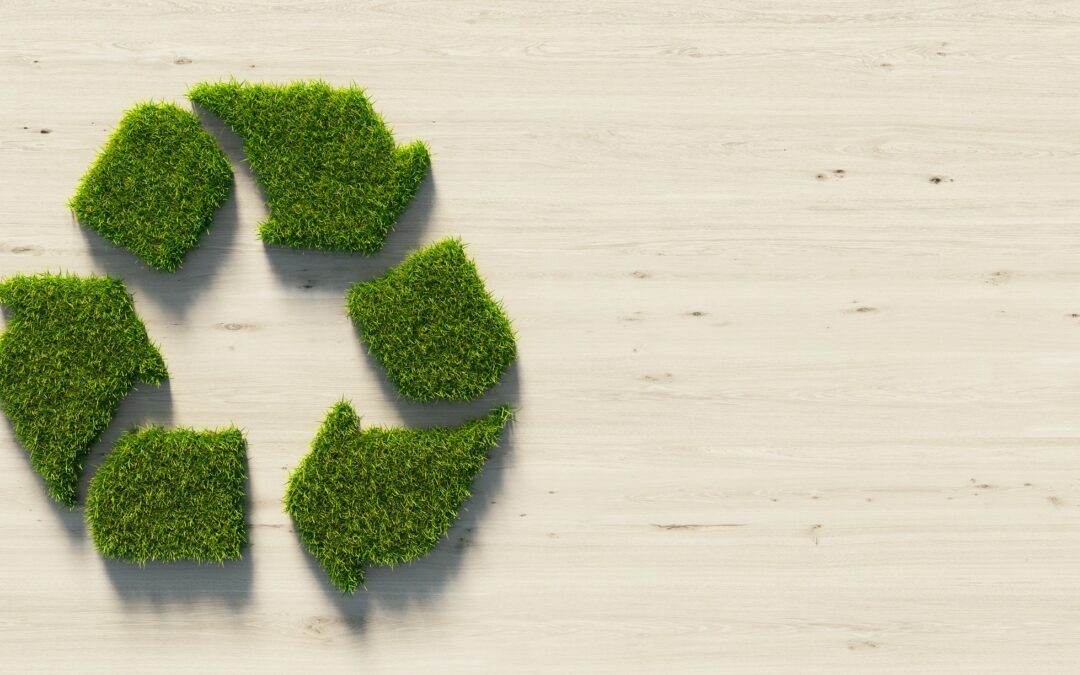 Nos 5 conseils pour un recyclage réussi